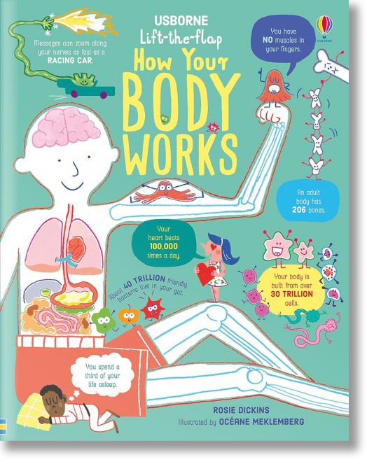Lift-the-Flap: How Your Body Works