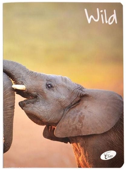 Тетрадка Wild А5, 60 листа с широки редове