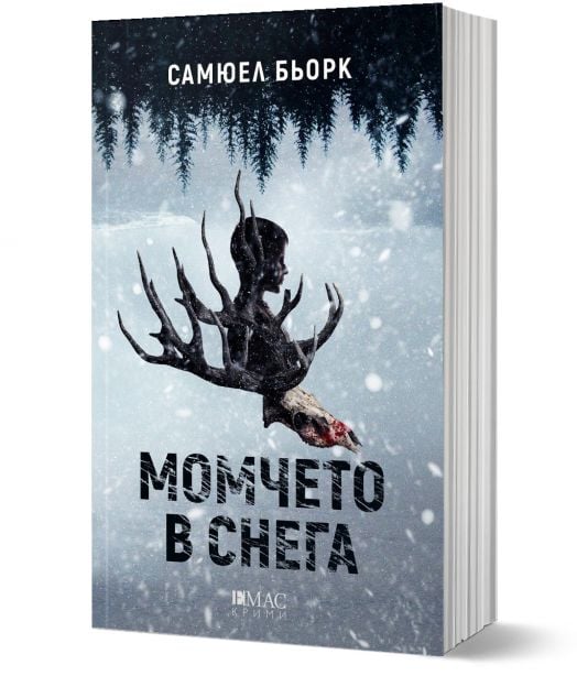 Момчето в снега