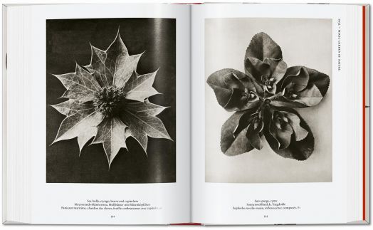 Karl Bloosfeldt: The Complete Publushed Work, 40th Edition