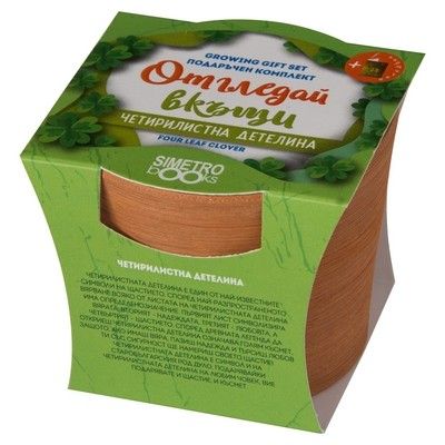 Отгледай вкъщи: Четирилистна детелина