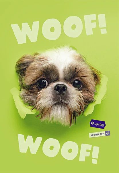 Тетрадка Mar Mar Woof A4, 40 листа с широки редове