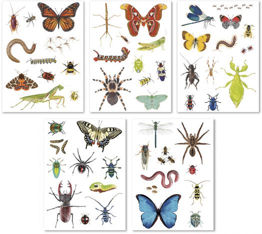 Комплект стикери Apli Kids - Насекоми, 50 бр.