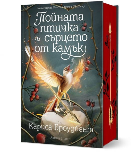 Пойната птичка и сърцето от камък, твърда корица