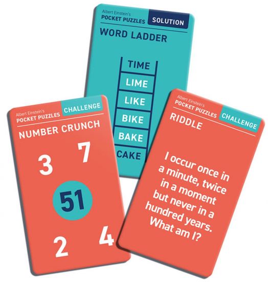 Джобни главоблъсканици Professor Puzzle Einstein's