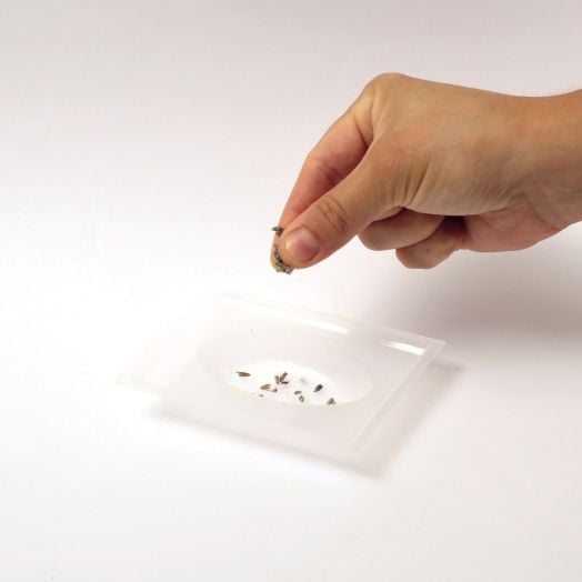 Комплект за правене на сапуни Graine Creative с лавандула