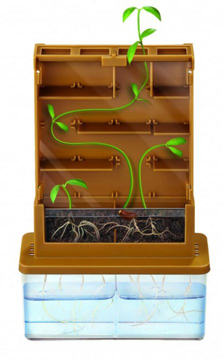 Комплект Зелена наука 4M - Растение в лабиринт