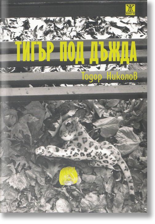 Тигър под дъжда