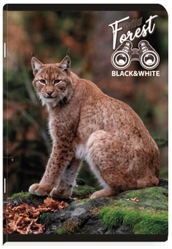 Тетрадка Black & White Boy A5, 80 листа - широки редове