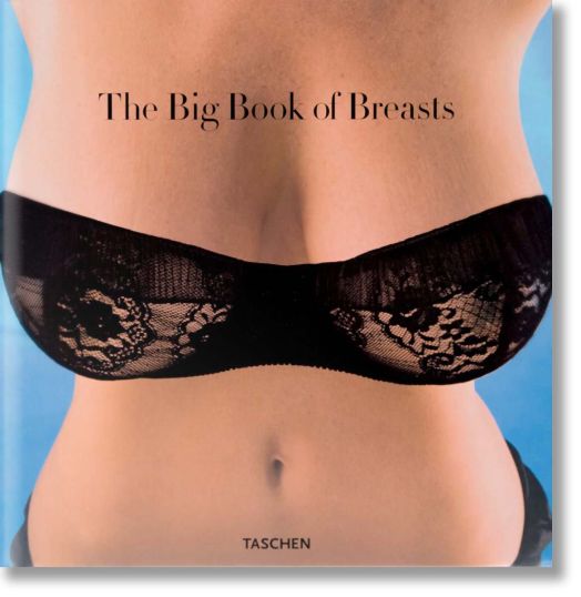 The Big Book of Breasts