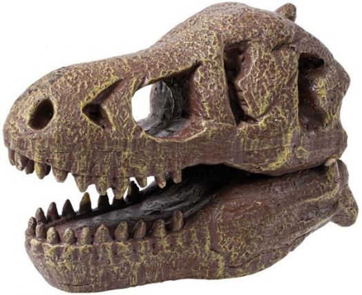 Изследователски комплект Buki - Череп на динозавър Тиранозавър Рекс