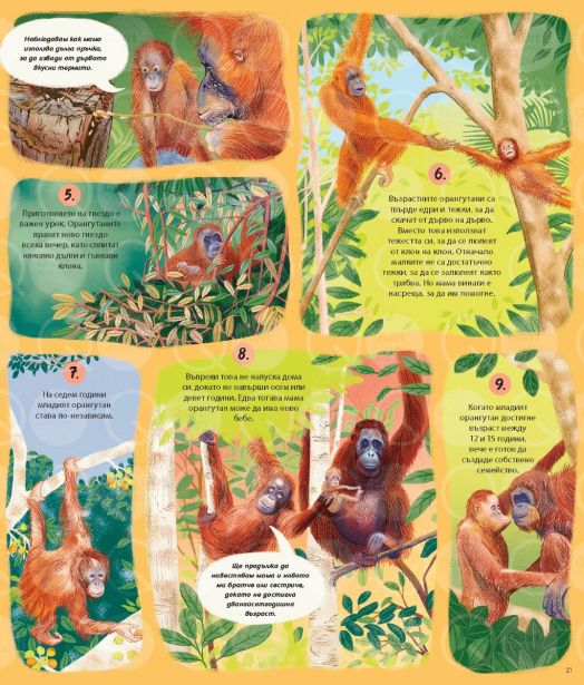 Вечният кръговрат на Майката Природа. 48 истории за жизнени цикли от цял свят