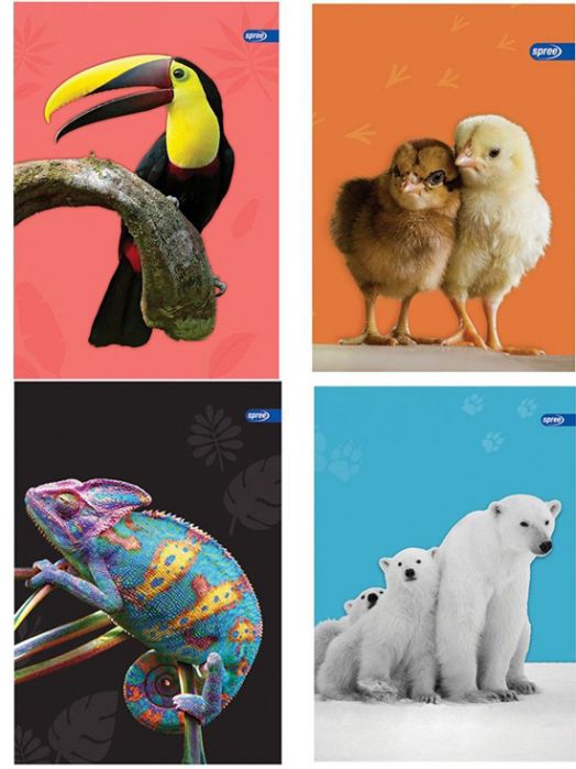 Тетрадка Spree Fluffy Friends А4, 40 листа с широки редове