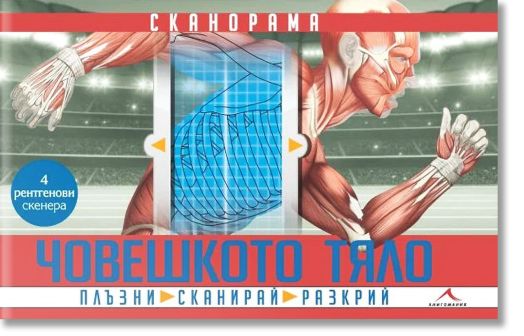 Човешкото тяло