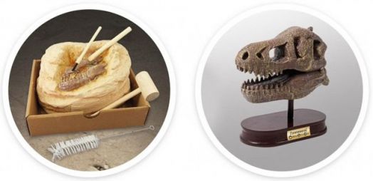 Изследователски комплект Buki - Череп на динозавър Тиранозавър Рекс