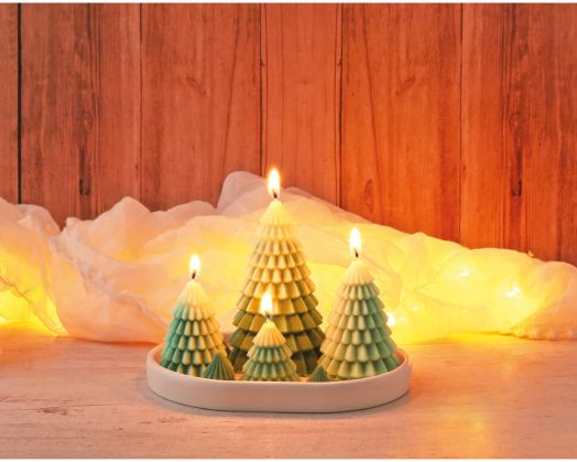 Комплект за правене на свещ Graine Creative - Горски елхи