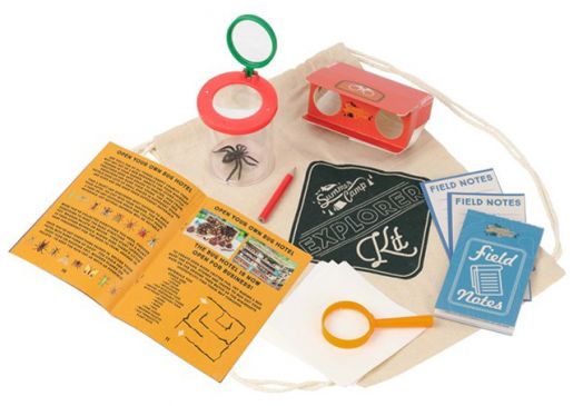 Комплект за изследователи Professor Puzzle