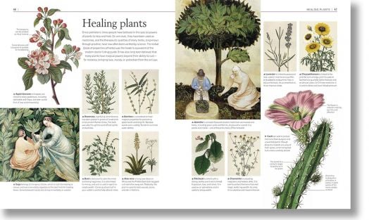 A History of Magic, Witchcraft and the Occult