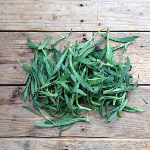 Семена за диви билки Piccolo, 3 вида