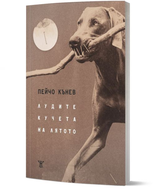 Лудите кучета на лятото