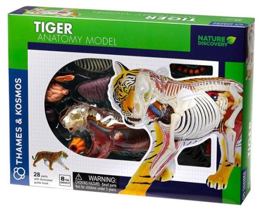 Конструирай модел на тигър Thames & Kosmos
