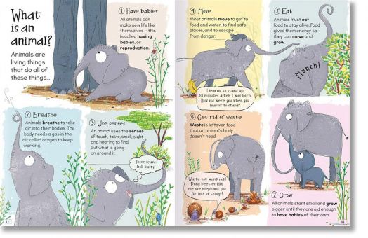 Incredibly Curious Questions and Answers