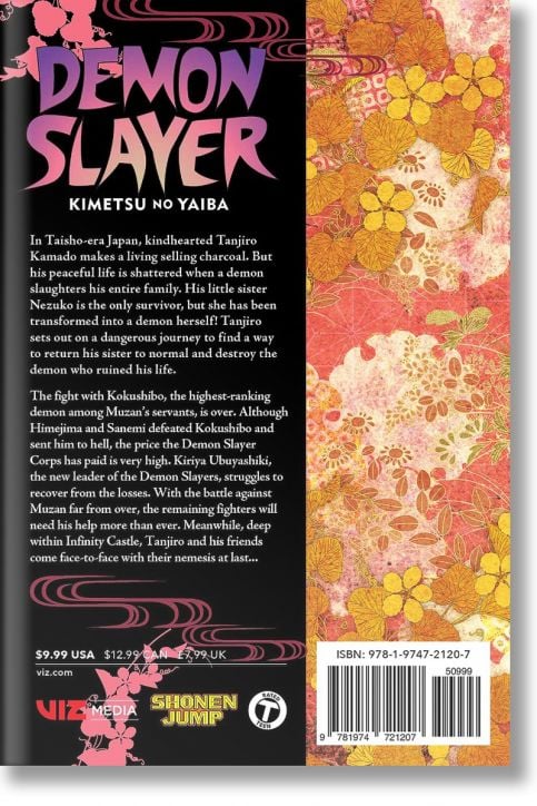 Demon Slayer Kimetsu no Yaiba, Vol. 21