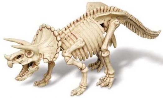 Комплект изкопай скелет 4M - Трицератопс