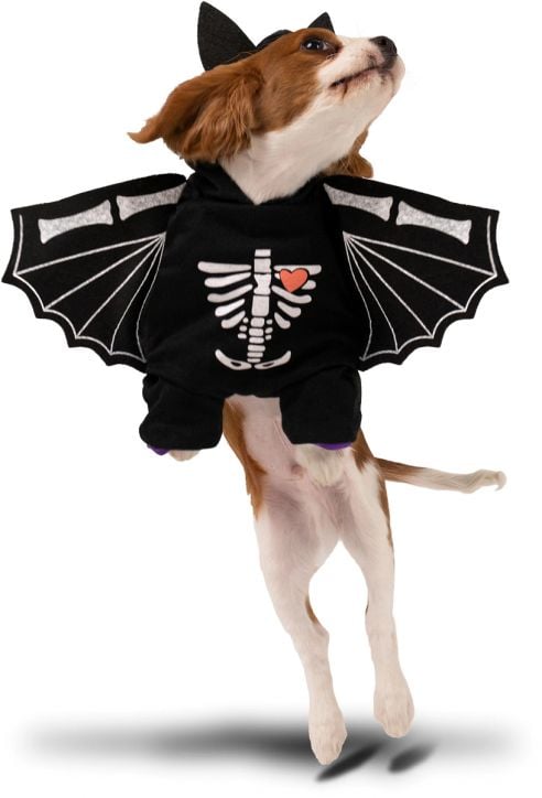 Парти костюм за куче PartyDeco - Прилеп