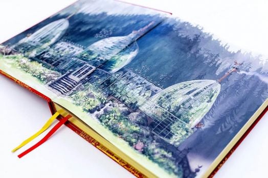 Harry Potter and the Chamber of Secrets, Deluxe edition