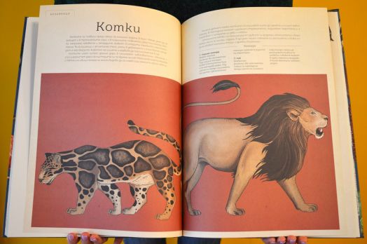 Добре дошли в музея: Музеят на животните