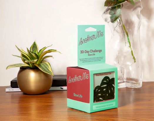 30-Day Challenge Another Me - Slow Life