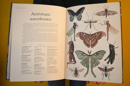 Добре дошли в музея: Музеят на животните