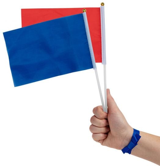 Комплект игра Professor Puzzle: Открадни знамето