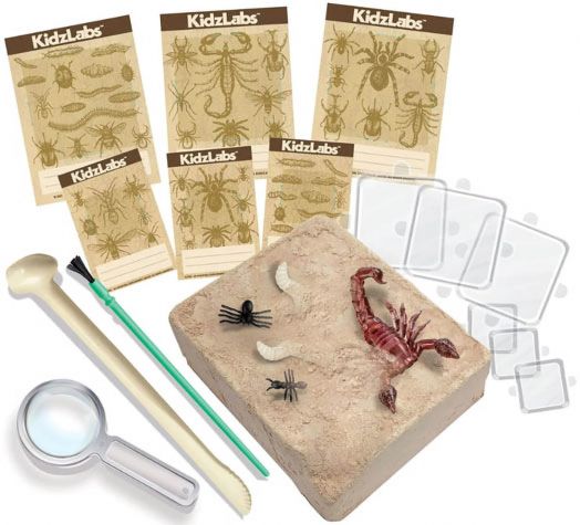 Детска лаборатория 4M - Изкопай буболечки