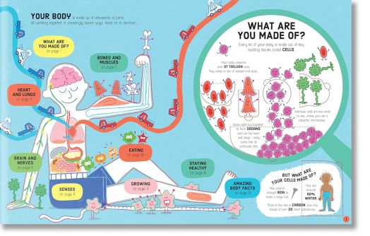 Lift-the-Flap: How Your Body Works