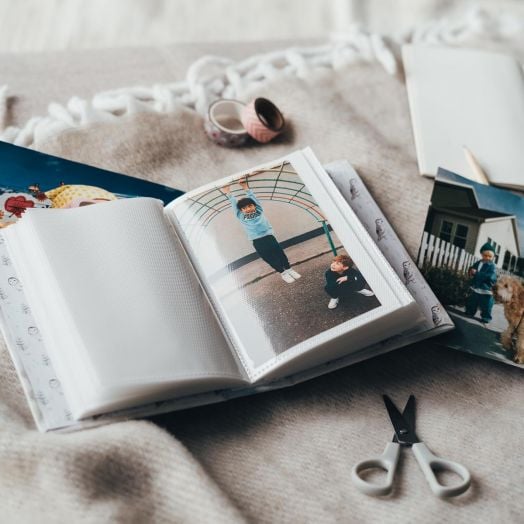 Албум за снимки Grupo Erik - Forest Friends