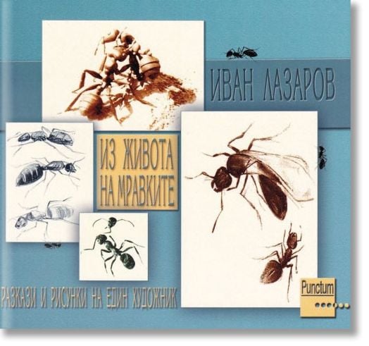 Из живота на мравките