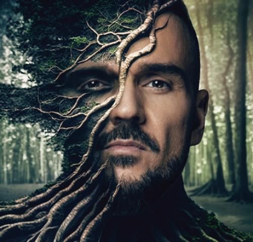 Вековна гора (CD)