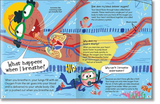 Curious Questions & Answers about My Body