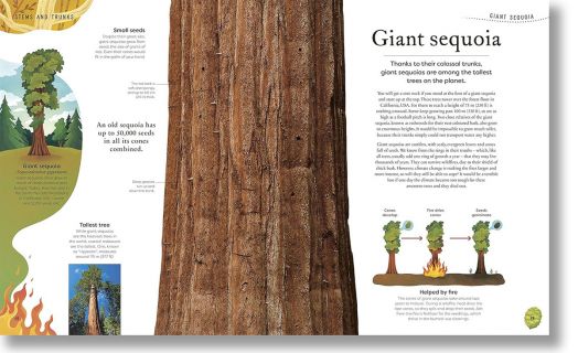 The Secret World of Plants