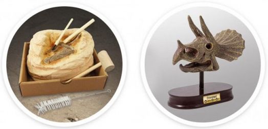 Изследователски комплект Buki - Череп на динозавър Трицератопс