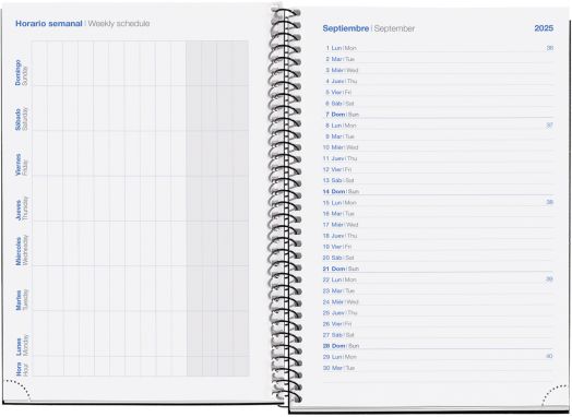 Тефтер - органайзер Miquelrius Dream от септември 2025 до юни 2026 г., ден на страница