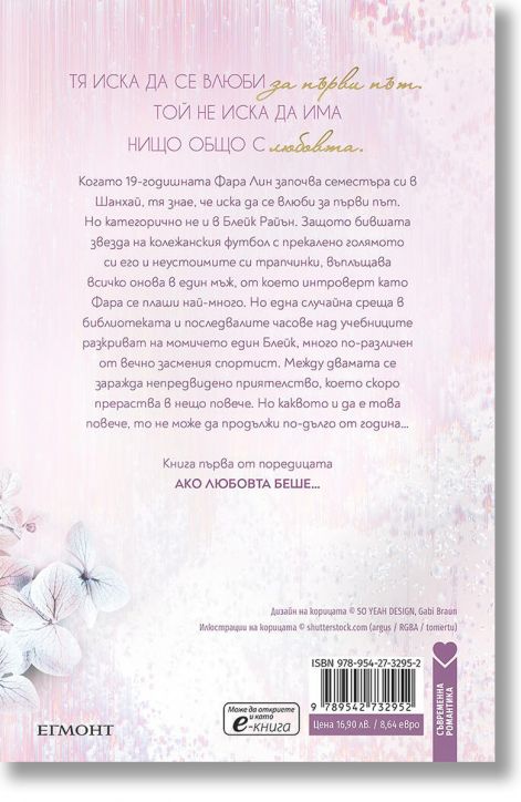 Ако любовта беше, книга 1: Ако пак се срещнем