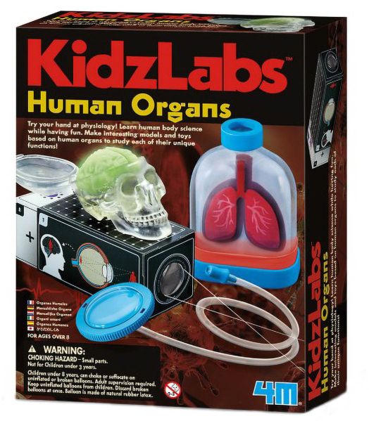 Детска лаборатория 4M - Човешките органи