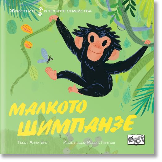 Животните и техните семейства: Малкото шимпанзе