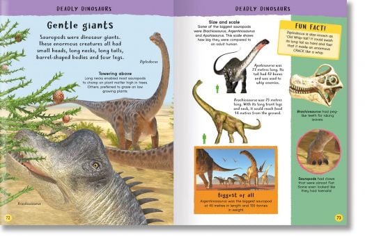 Encyclopedia of Amazing Facts