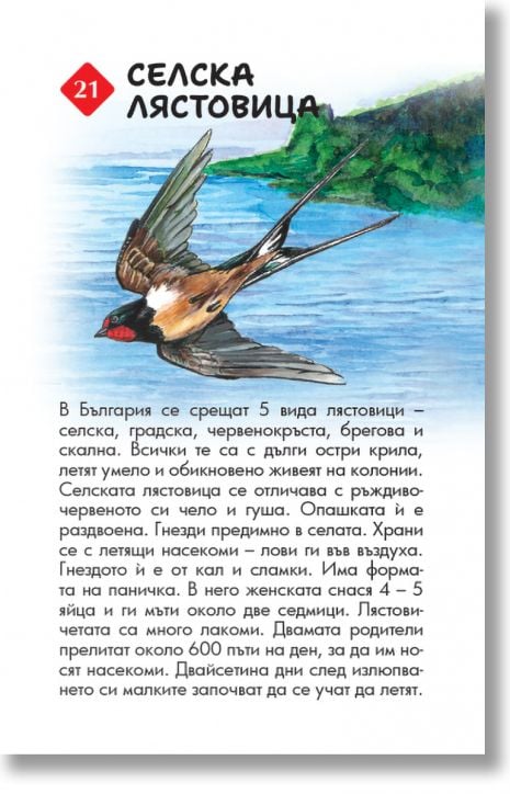 Образователни карти: 100 животни от България
