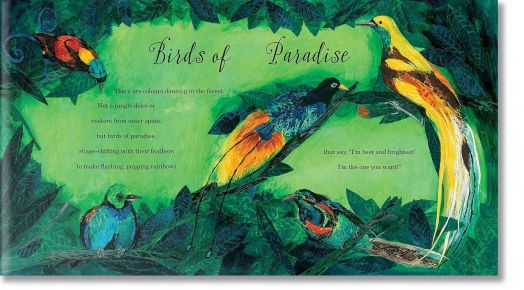 A First Book of Animals