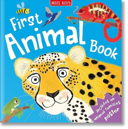 First Animal Book
